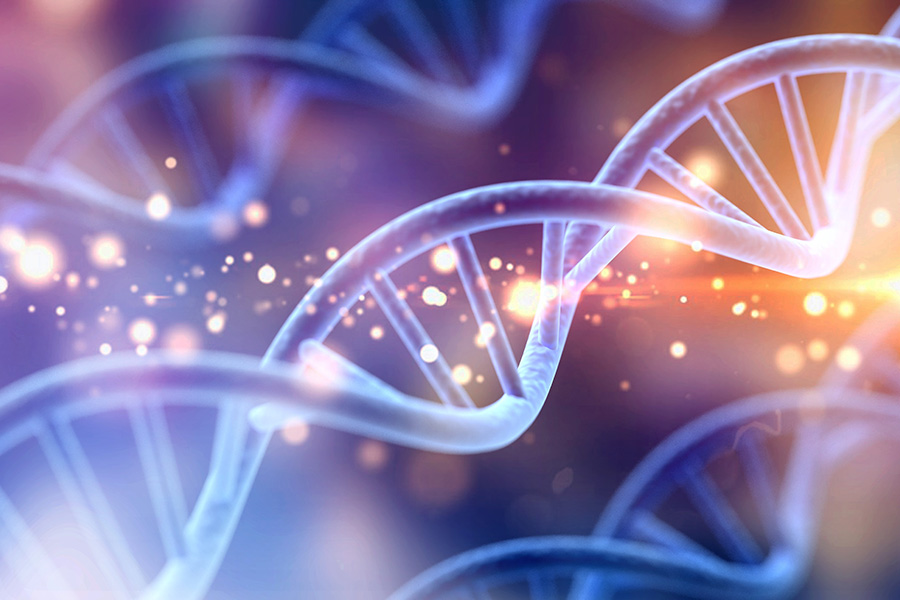 DNA’nın Özellikleri Nelerdir?