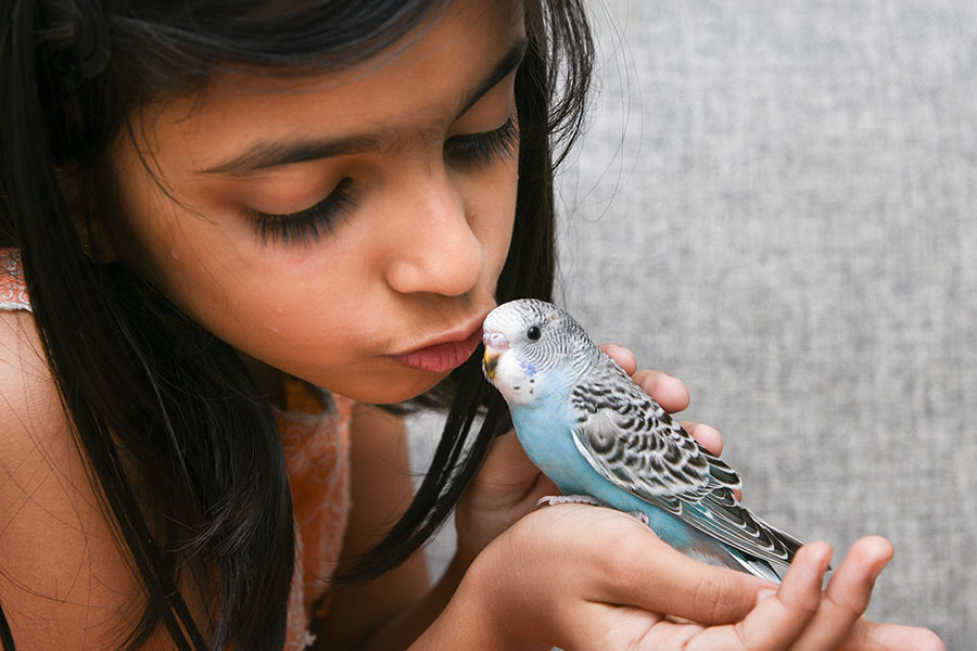 Hayvan Sevgisinin Çocuk Gelişimi için Önemi