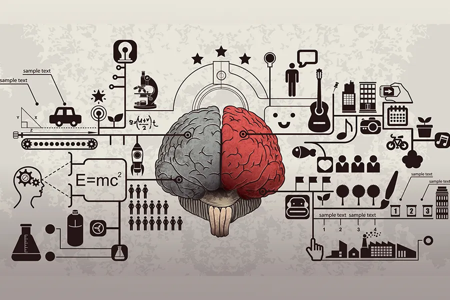 Sağ Beyni Geliştirme Yöntemleri