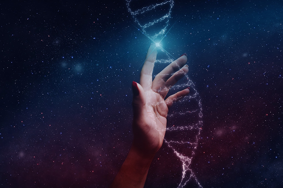 DNA’nın Özellikleri ve Görevleri Nelerdir?