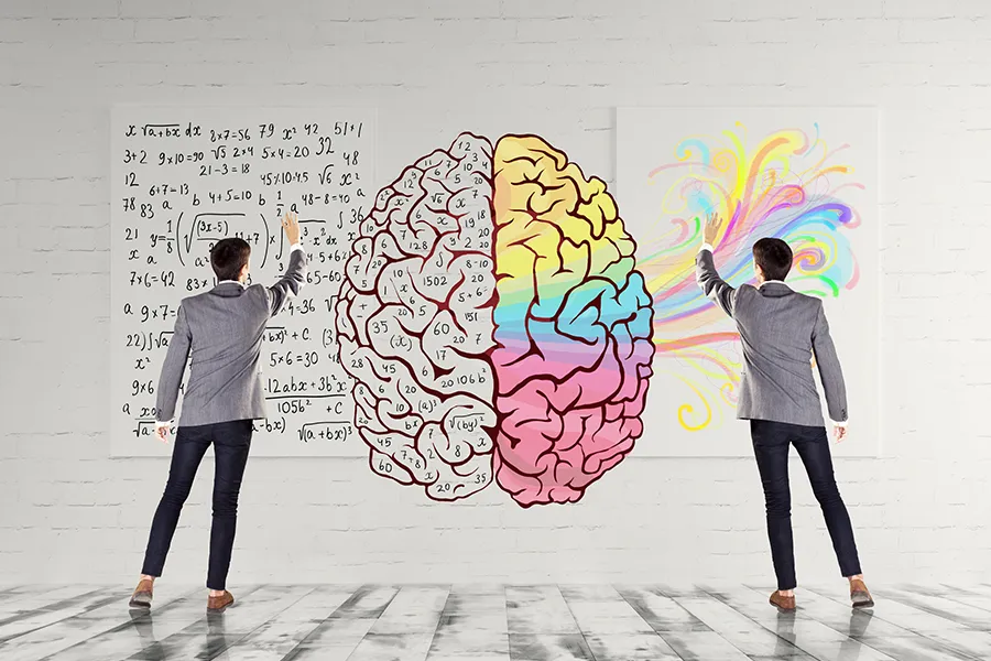 Sol Beyni Geliştirme Yöntemleri