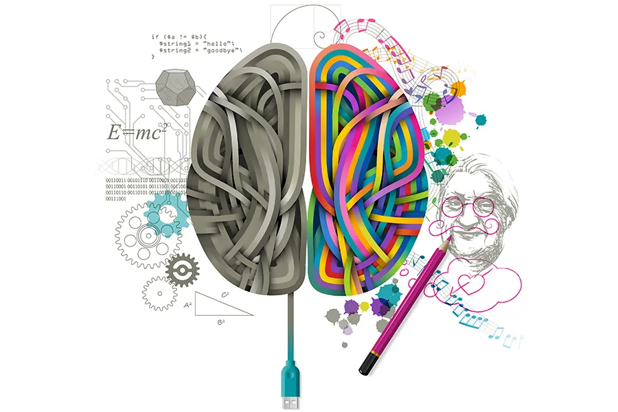 Sağ ve Sol Beyin ile İlgili İpuçları